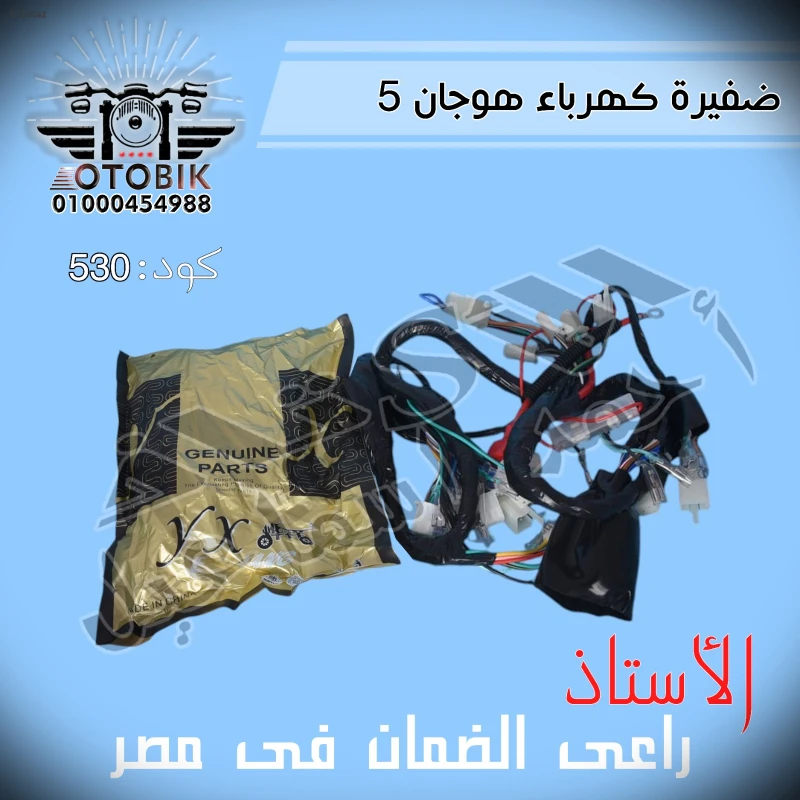 ضفيرة كهرباء هوجان 5